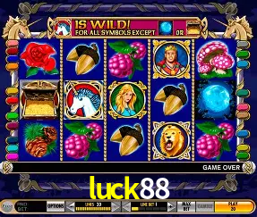 Cadastro rápido e seguro na luck88